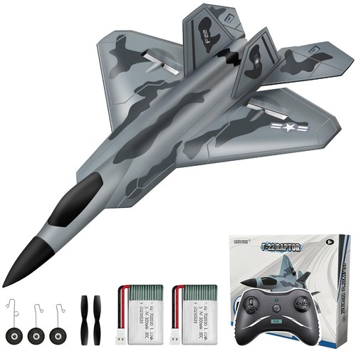 2ch glider easy - f-22, rc